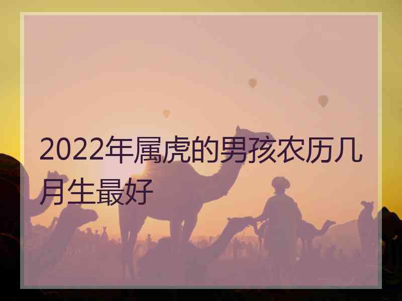 2022年属虎的男孩农历几月生最好