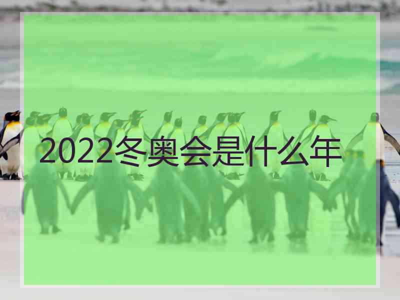 2022冬奥会是什么年