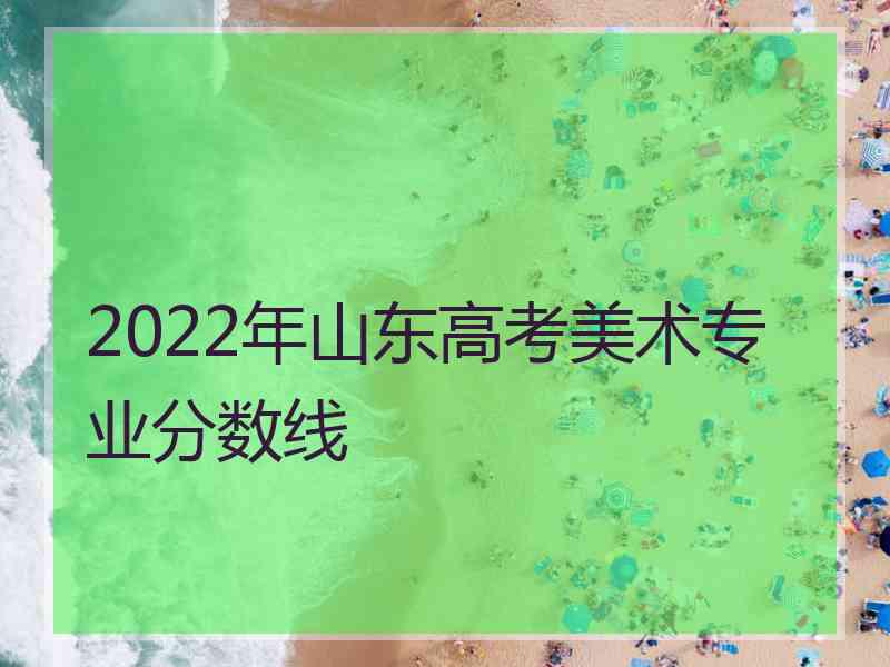 2022年山东高考美术专业分数线