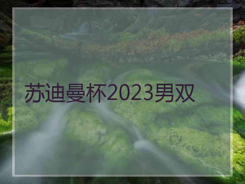 苏迪曼杯2023男双