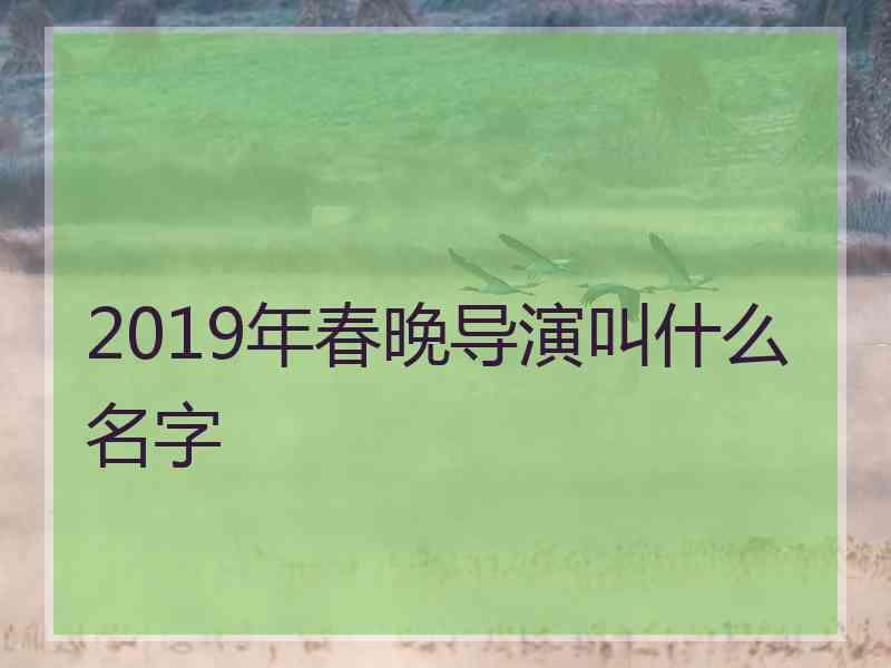 2019年春晚导演叫什么名字