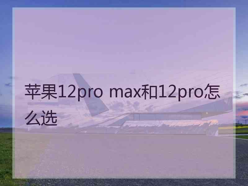 苹果12pro max和12pro怎么选