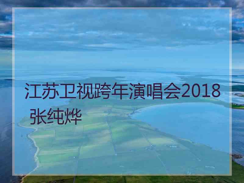 江苏卫视跨年演唱会2018 张纯烨