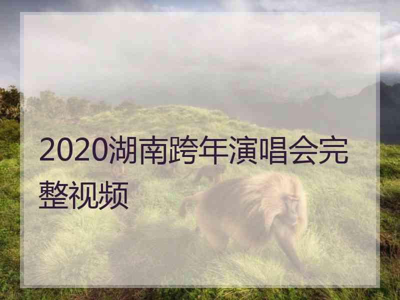 2020湖南跨年演唱会完整视频