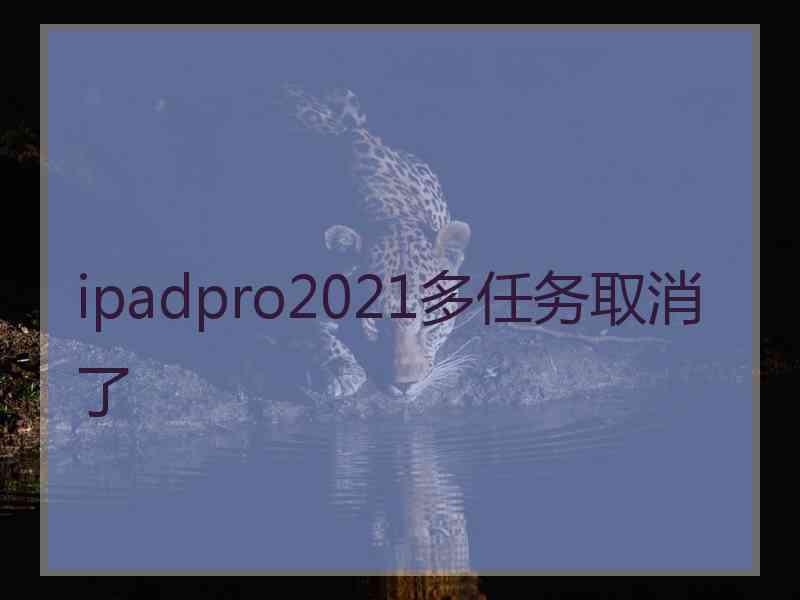 ipadpro2021多任务取消了