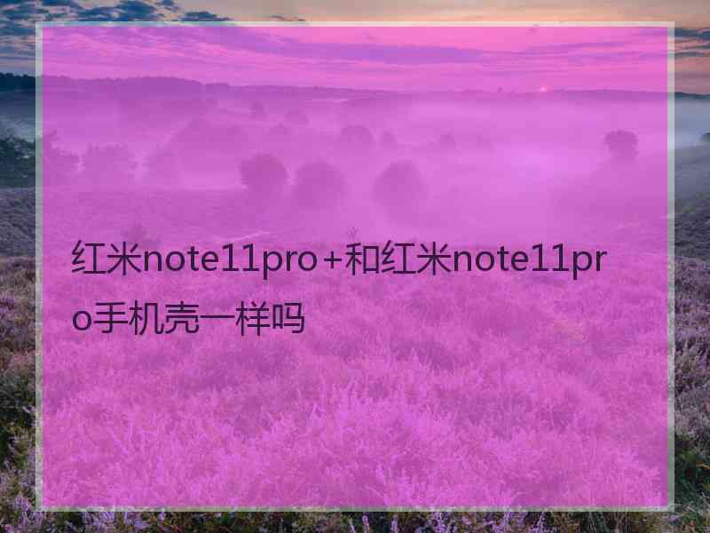 红米note11pro+和红米note11pro手机壳一样吗