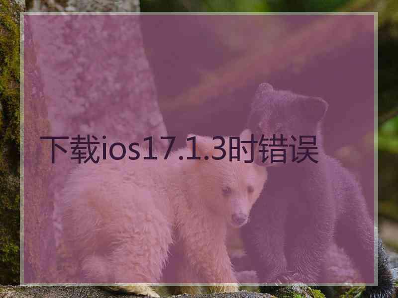 下载ios17.1.3时错误