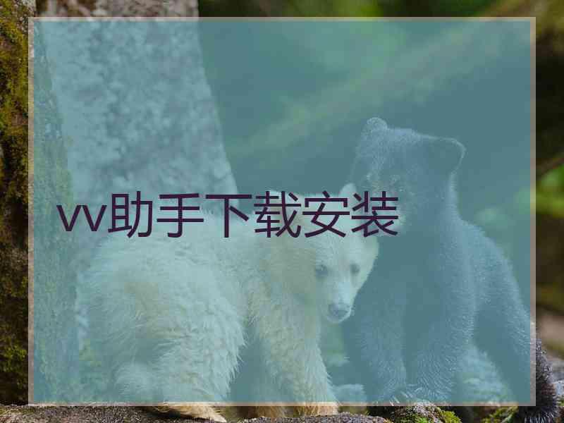 vv助手下载安装