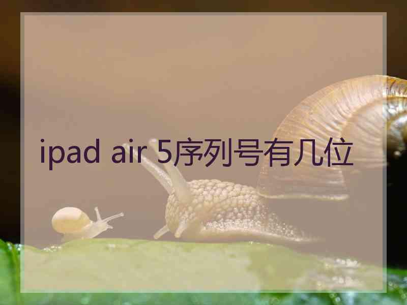 ipad air 5序列号有几位