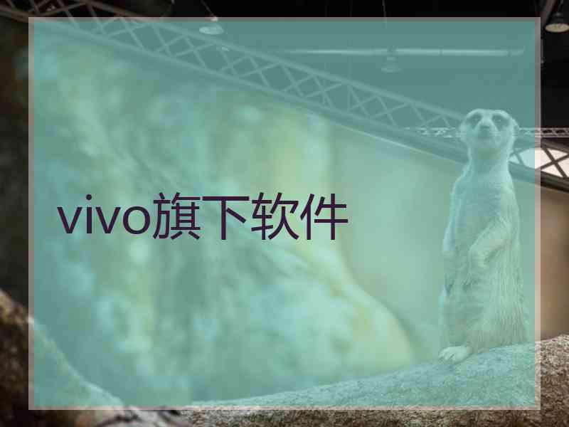 vivo旗下软件