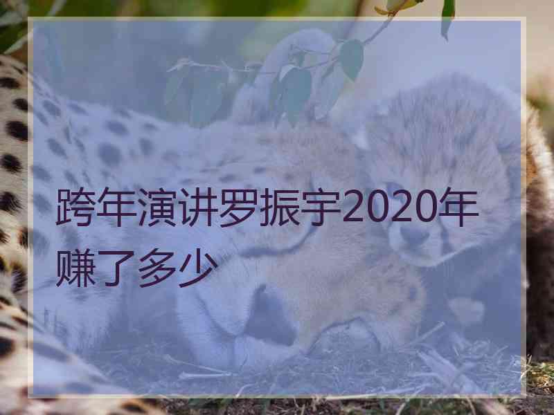 跨年演讲罗振宇2020年赚了多少