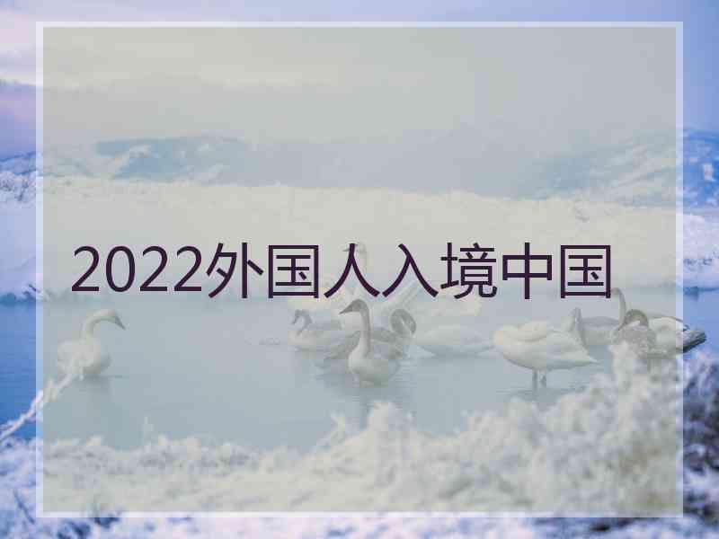 2022外国人入境中国