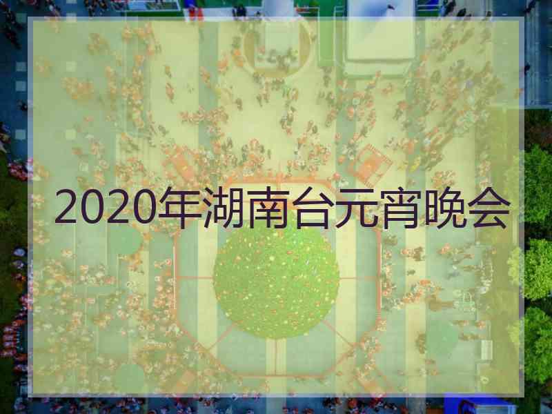 2020年湖南台元宵晚会