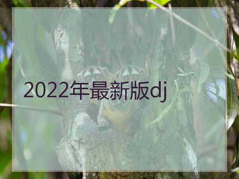 2022年最新版dj