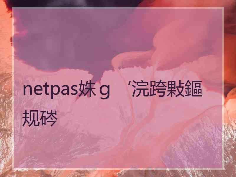 netpas姝ｇ‘浣跨敤鏂规硶