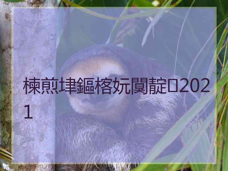 楝煎垏鏂楁妧闃靛2021