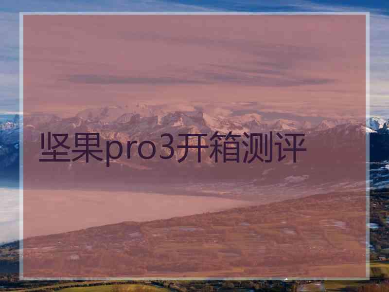 坚果pro3开箱测评