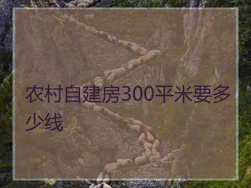 农村自建房300平米要多少线