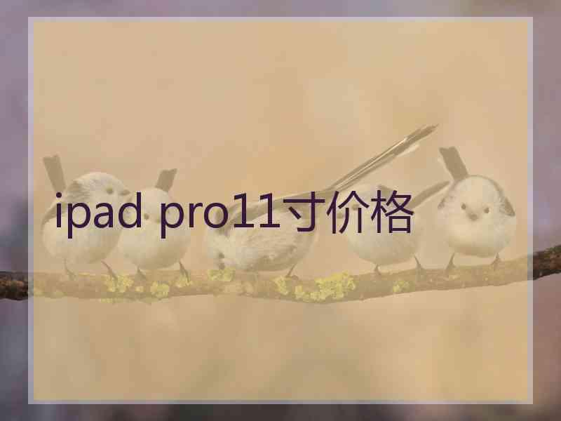 ipad pro11寸价格