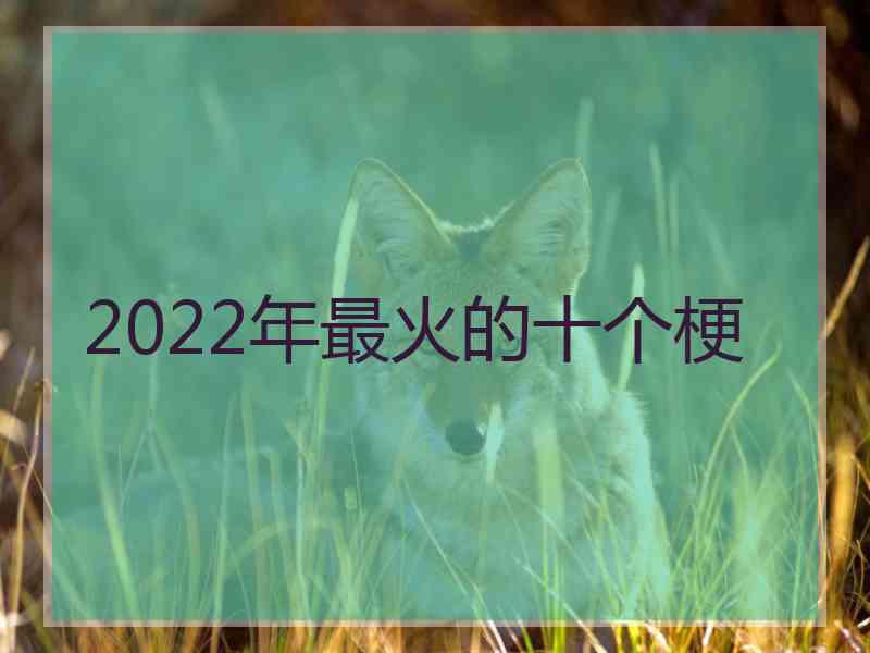 2022年最火的十个梗