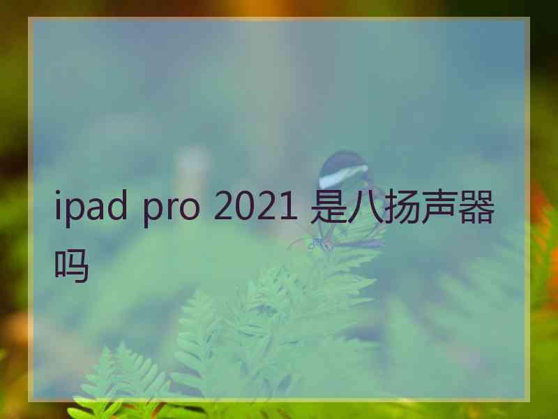 ipad pro 2021 是八扬声器吗