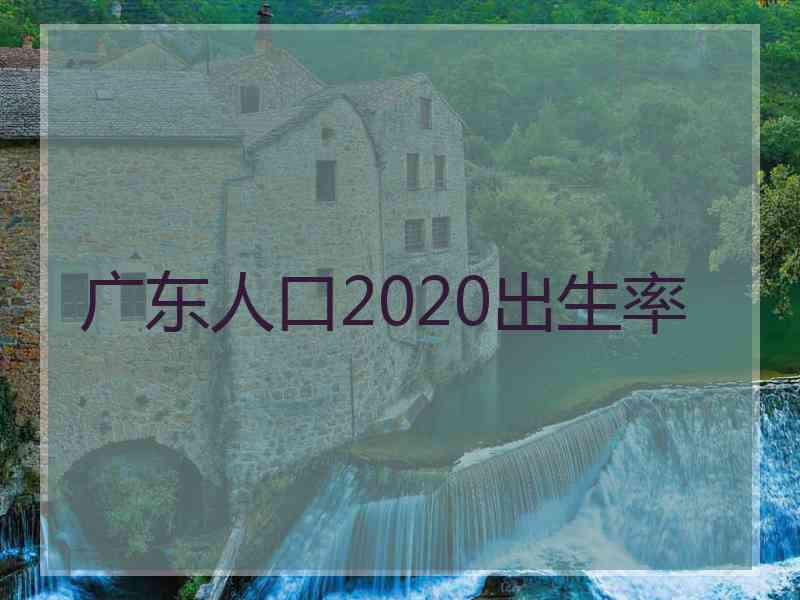 广东人口2020出生率