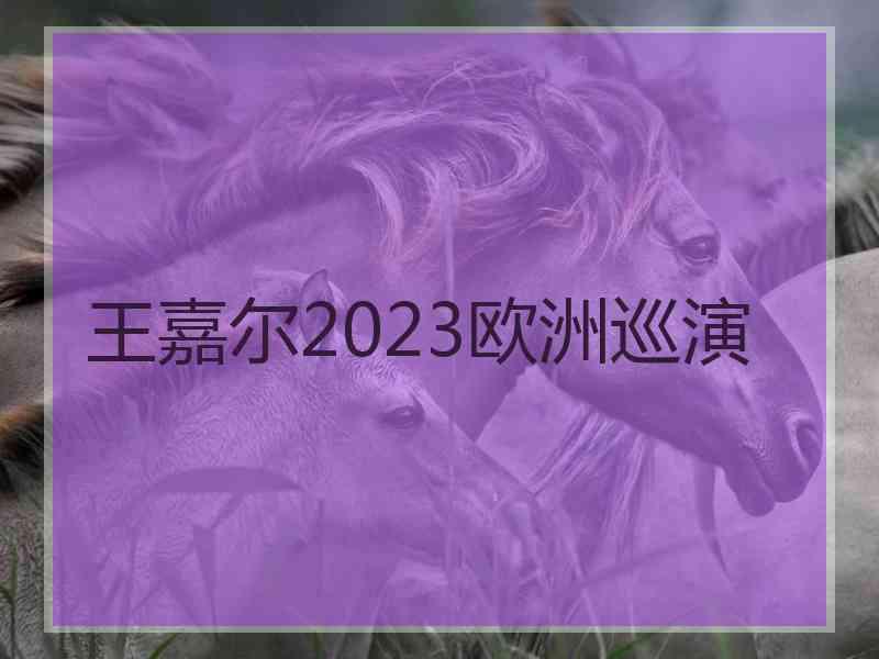 王嘉尔2023欧洲巡演