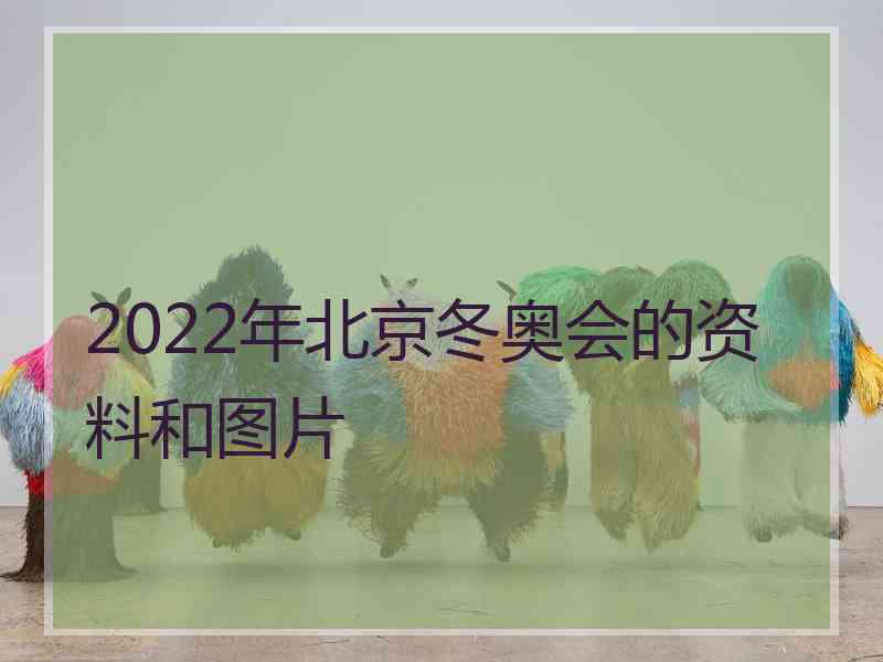 2022年北京冬奥会的资料和图片