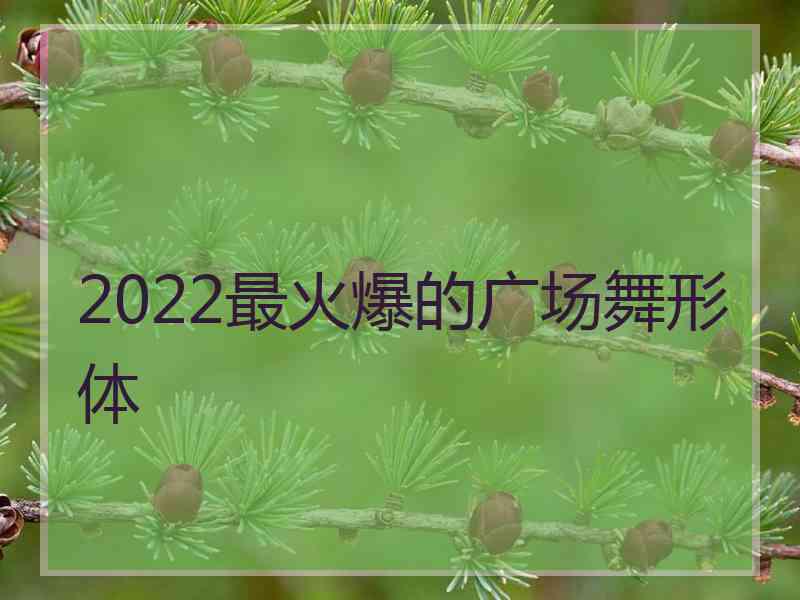 2022最火爆的广场舞形体