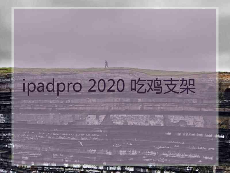 ipadpro 2020 吃鸡支架