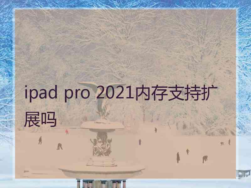 ipad pro 2021内存支持扩展吗