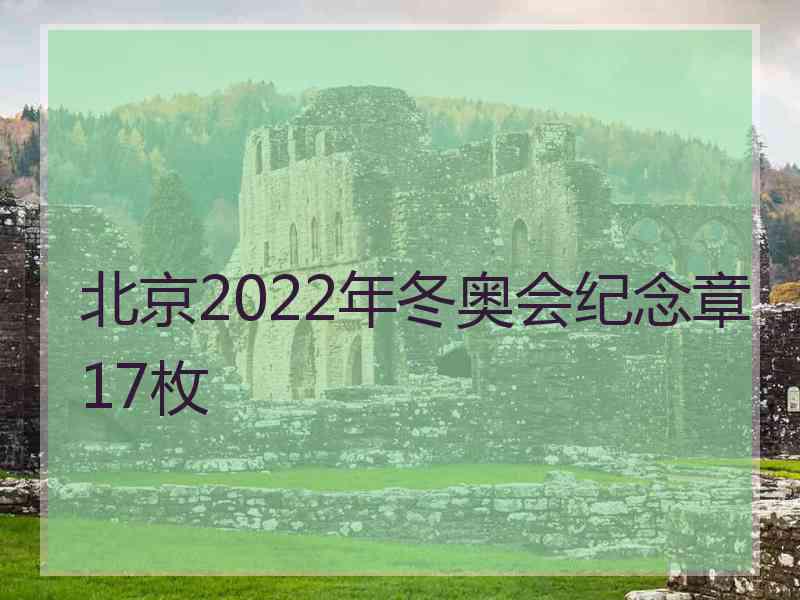 北京2022年冬奥会纪念章17枚