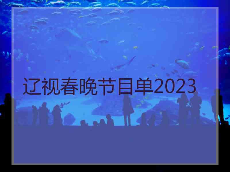 辽视春晚节目单2023