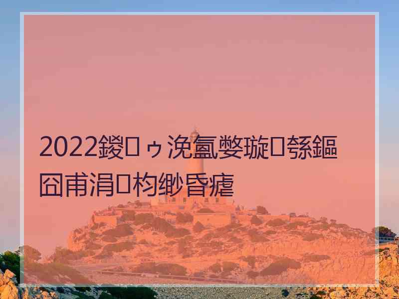 2022鍐ゥ浼氳嫳璇綔鏂囧甫涓枃缈昏瘧