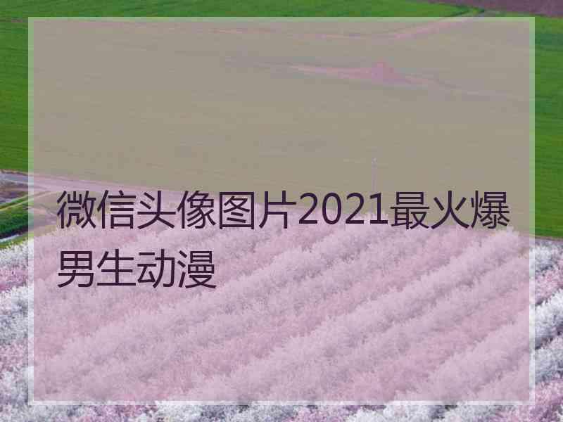 微信头像图片2021最火爆男生动漫