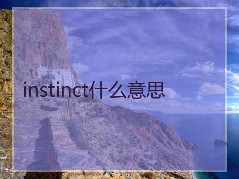 instinct什么意思