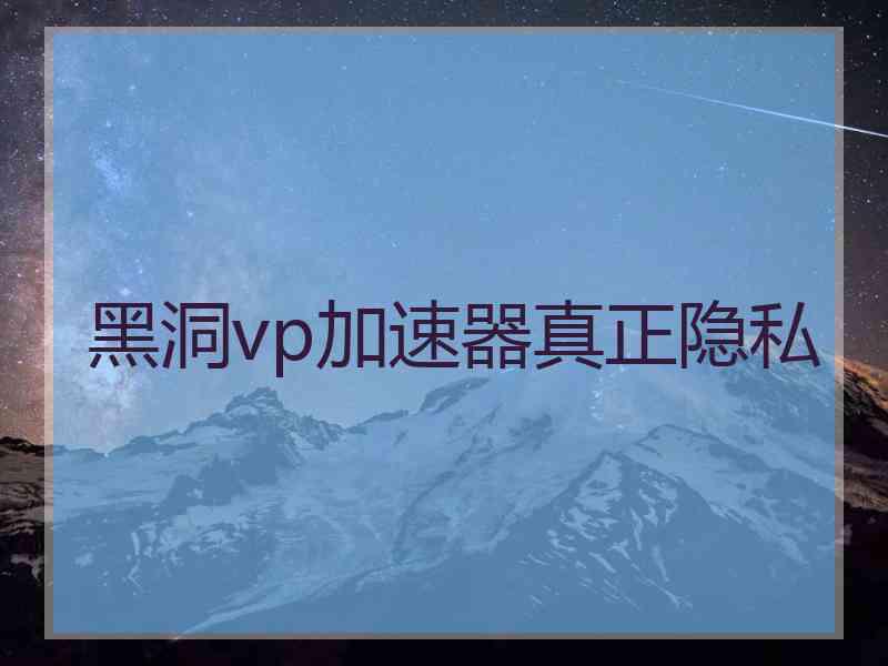 黑洞vp加速器真正隐私