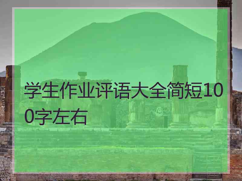 学生作业评语大全简短100字左右