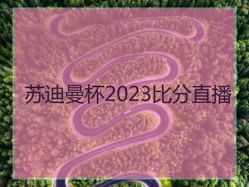 苏迪曼杯2023比分直播