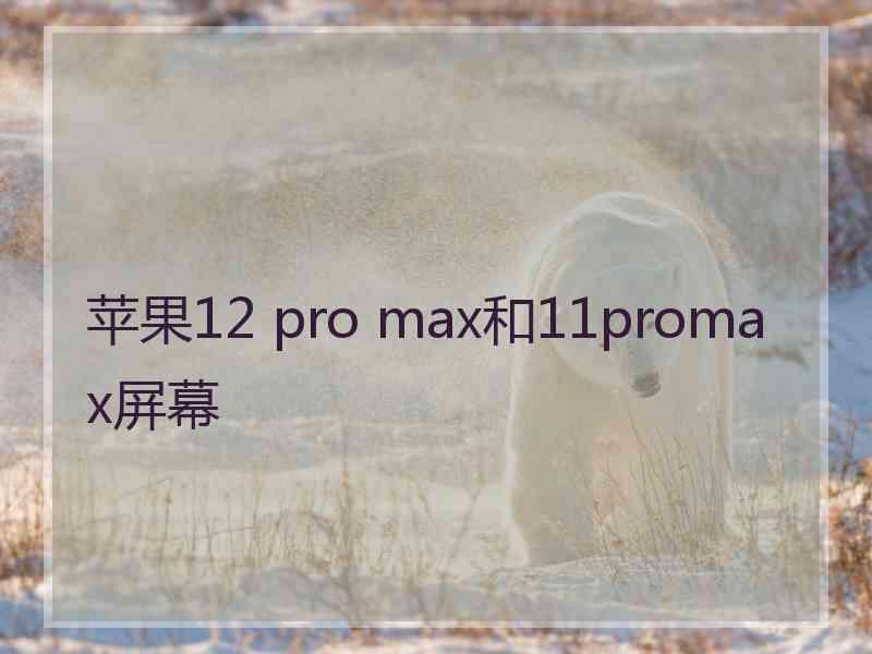 苹果12 pro max和11promax屏幕