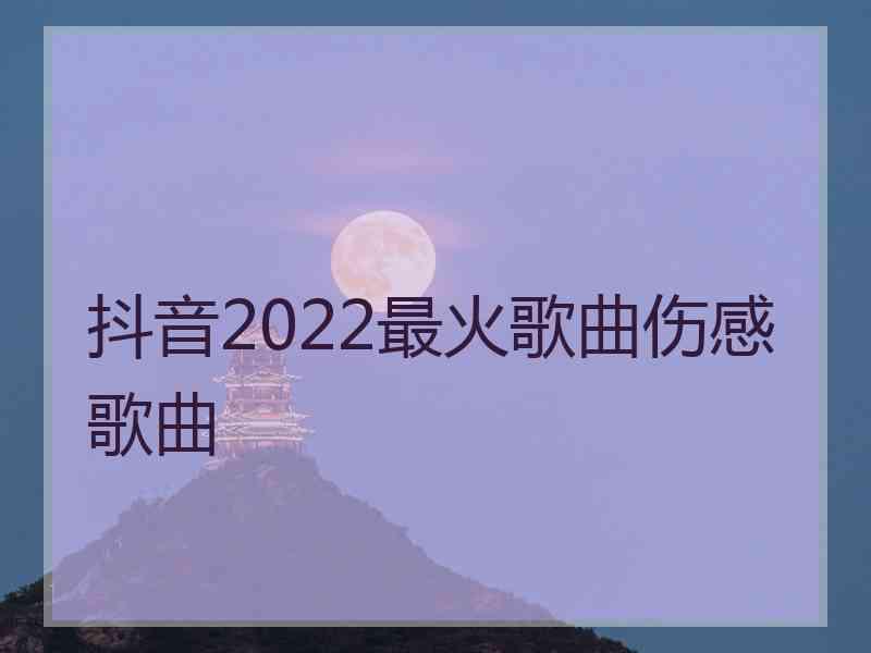 抖音2022最火歌曲伤感歌曲