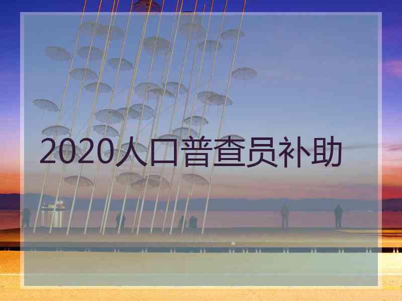 2020人口普查员补助