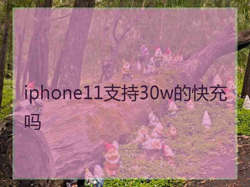 iphone11支持30w的快充吗