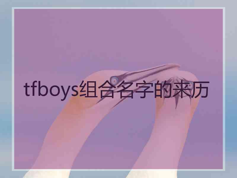 tfboys组合名字的来历