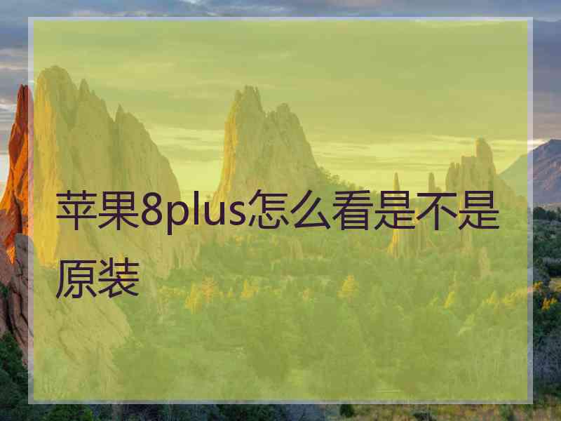 苹果8plus怎么看是不是原装