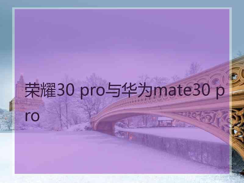 荣耀30 pro与华为mate30 pro