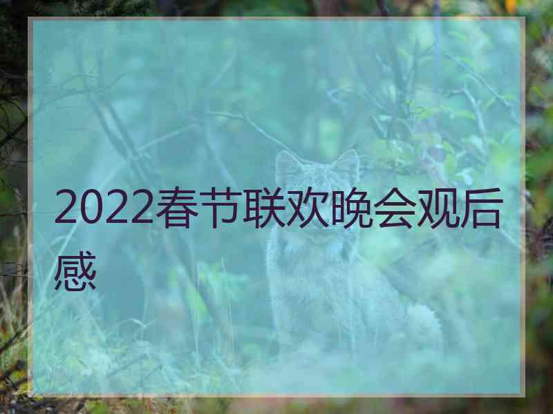 2022春节联欢晚会观后感