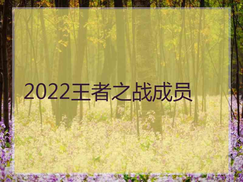 2022王者之战成员