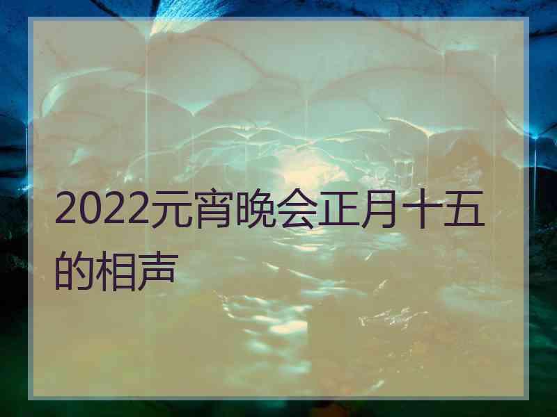 2022元宵晚会正月十五的相声