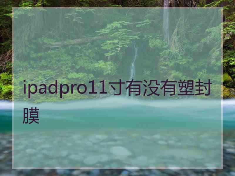 ipadpro11寸有没有塑封膜